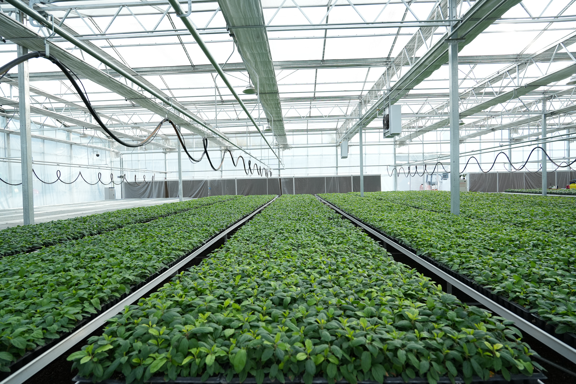 图片33.png 46e169009af14fcd85bc3fc965fa92bd.png