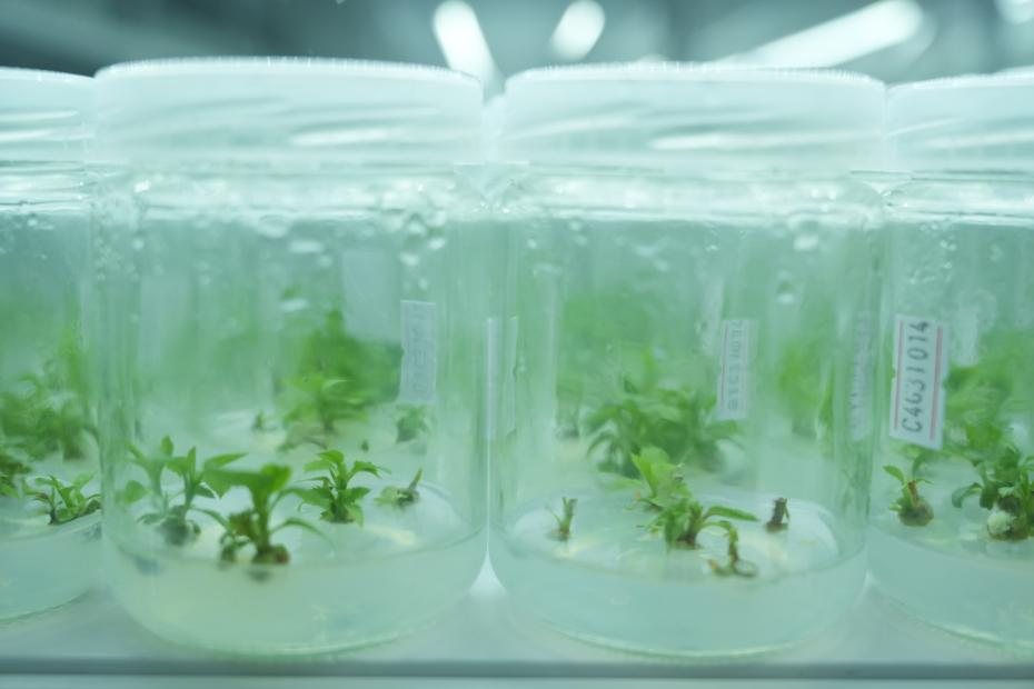 图片2.png 9db9cb7401d04f1db70385d9e3354bdf.png