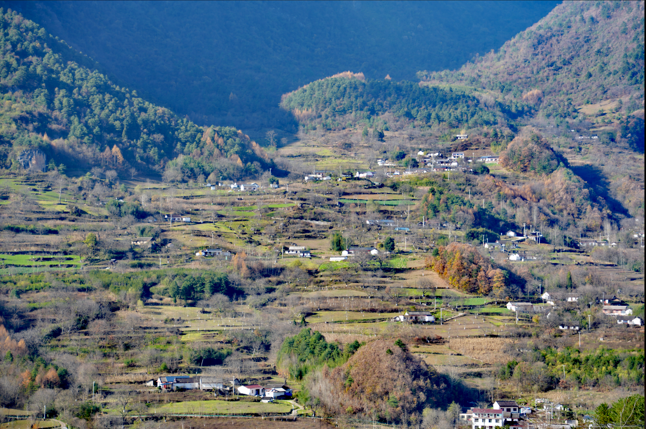 21486377bfe859940fa88d82bcef340.png 034219a28cfe41a0a2ff3537e3dbec26.png