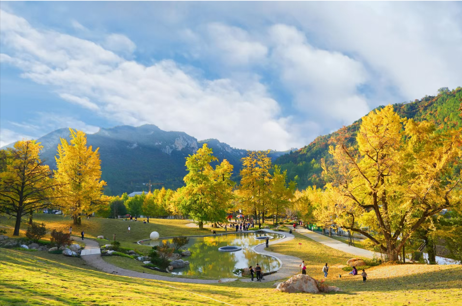 a71eb968a7d1717ba79439ae4fad08e.png d86b7aec336746fcbb92e1a050ebb43f.png