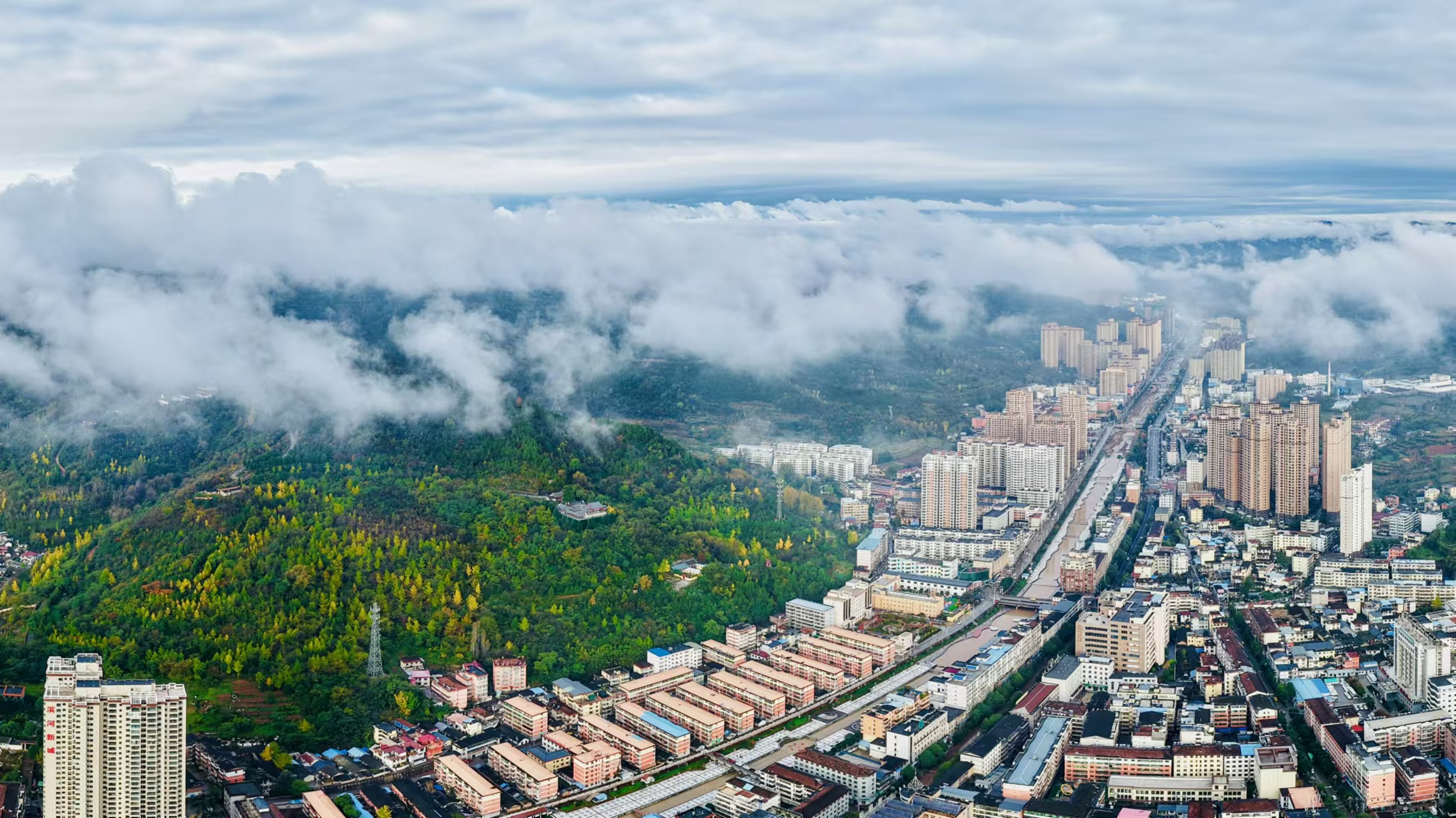 微信图片_20241122203913.jpg d5bc18b06422473092a3f695719da9f3.jpeg