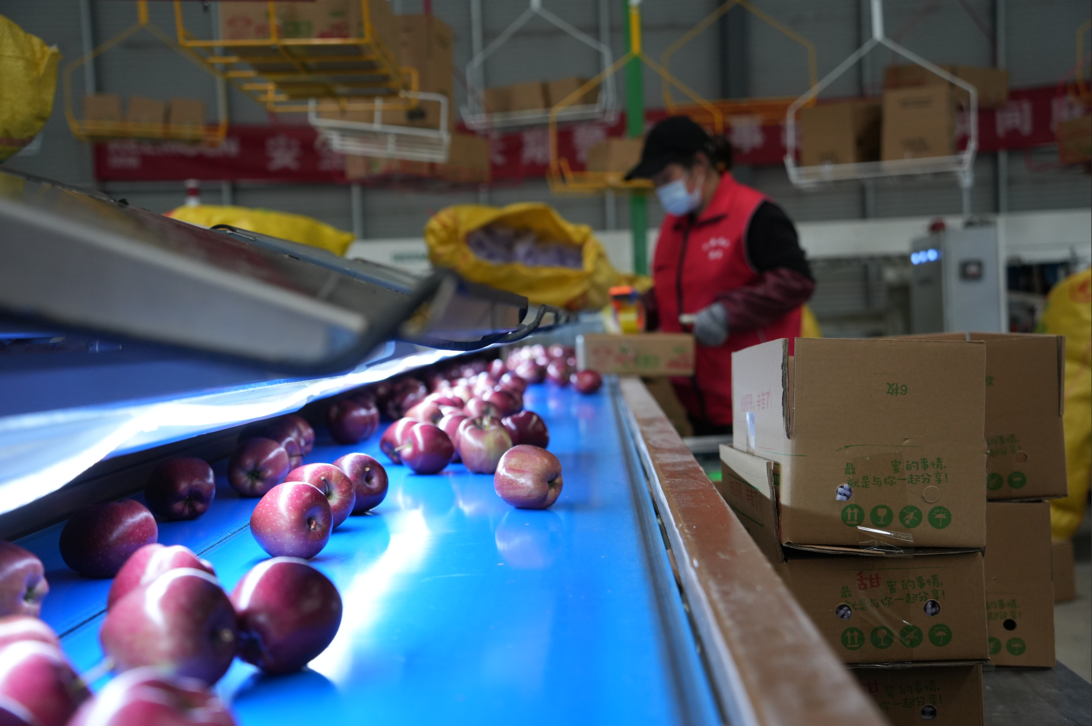 a28541962f6e8977b2fcb1713ff6be1.png a442c06dfe764e17b82b7355eb5d1b18.png