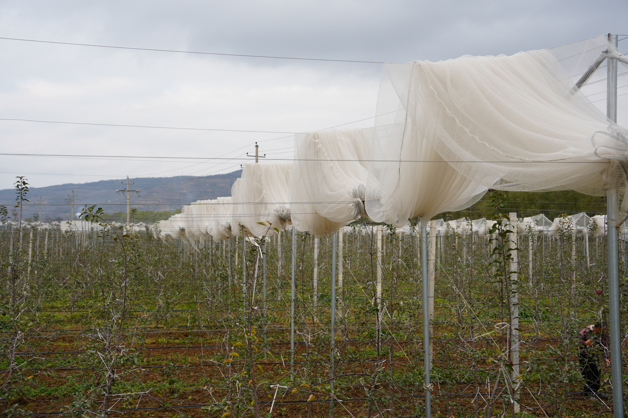 276c829ba910731275f72f8edb5a14e.png ef663fb689ed43c894b3b97e5b41a929.png