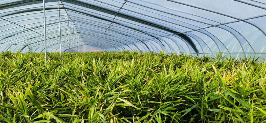 287354107994812417.jpg 287354107994812417.jpg