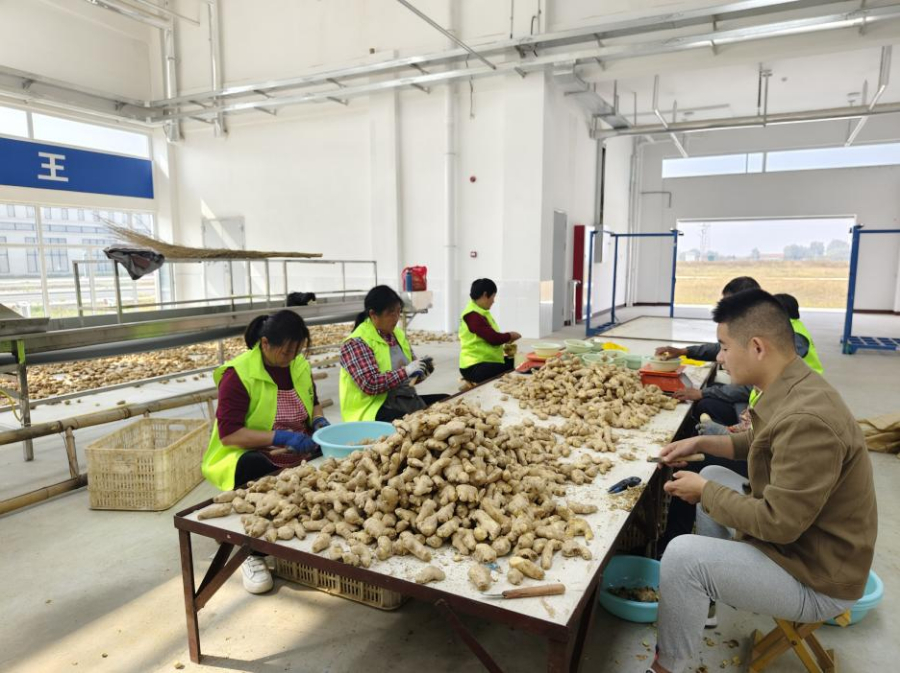 287354116672827393.jpg 287354116672827393.jpg