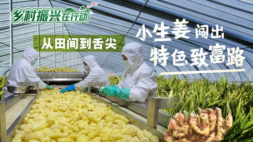 287354104123469825.jpg 287354104123469825.jpg