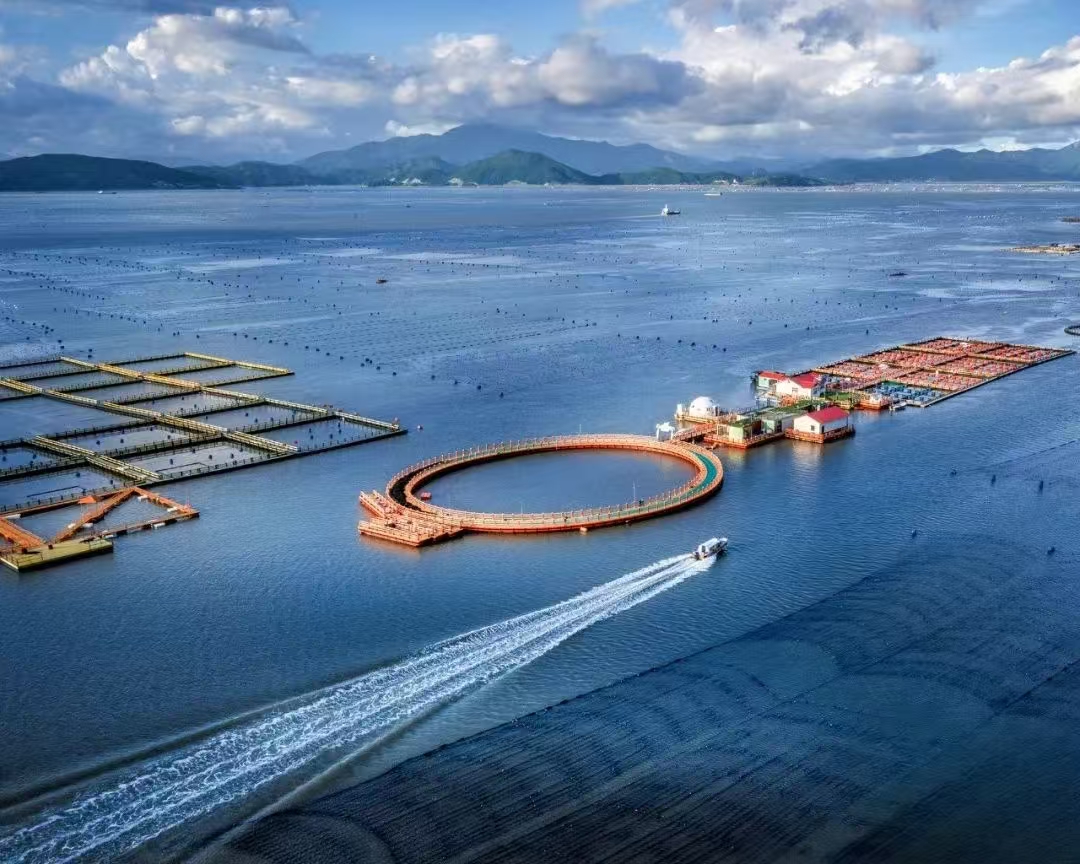 a173ff77d0694e509cf3d36a98ae14f8.jpeg a173ff77d0694e509cf3d36a98ae14f8.jpeg