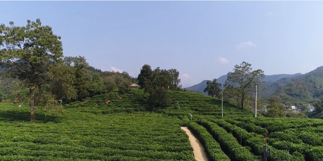 图片1.png 图片1.png