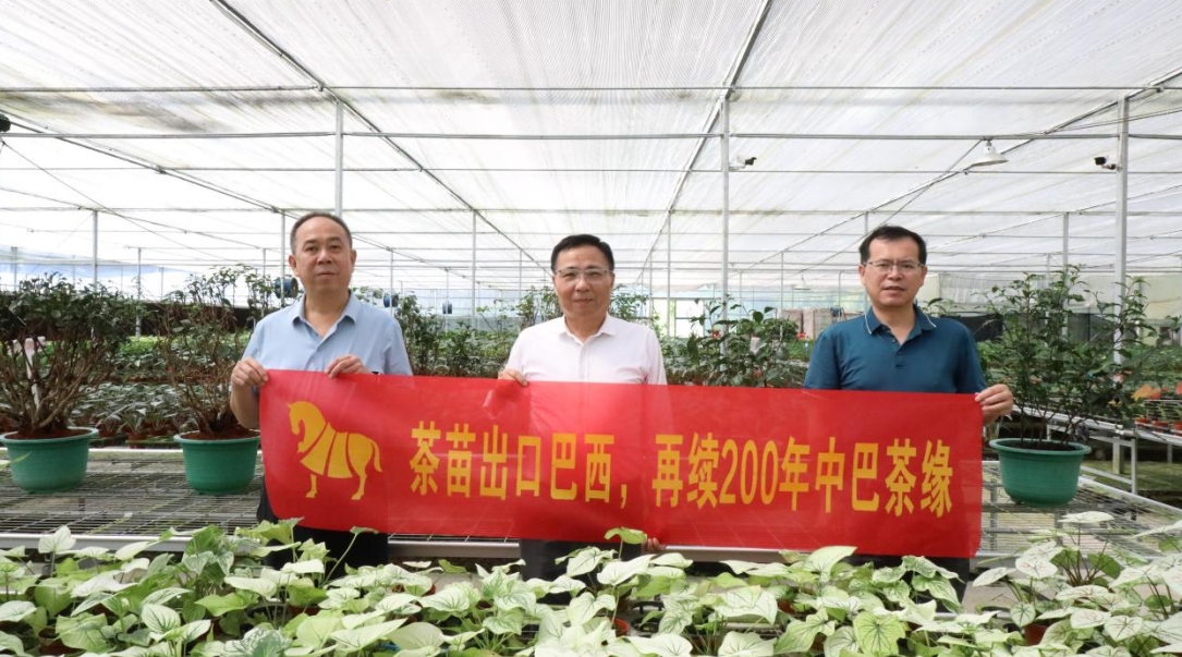 77.png 8ed13916e35449b0842c88f4e041ee5f.jpeg