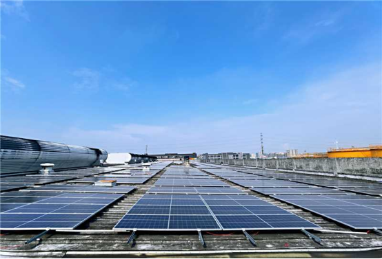 图片83.png 图片83.png