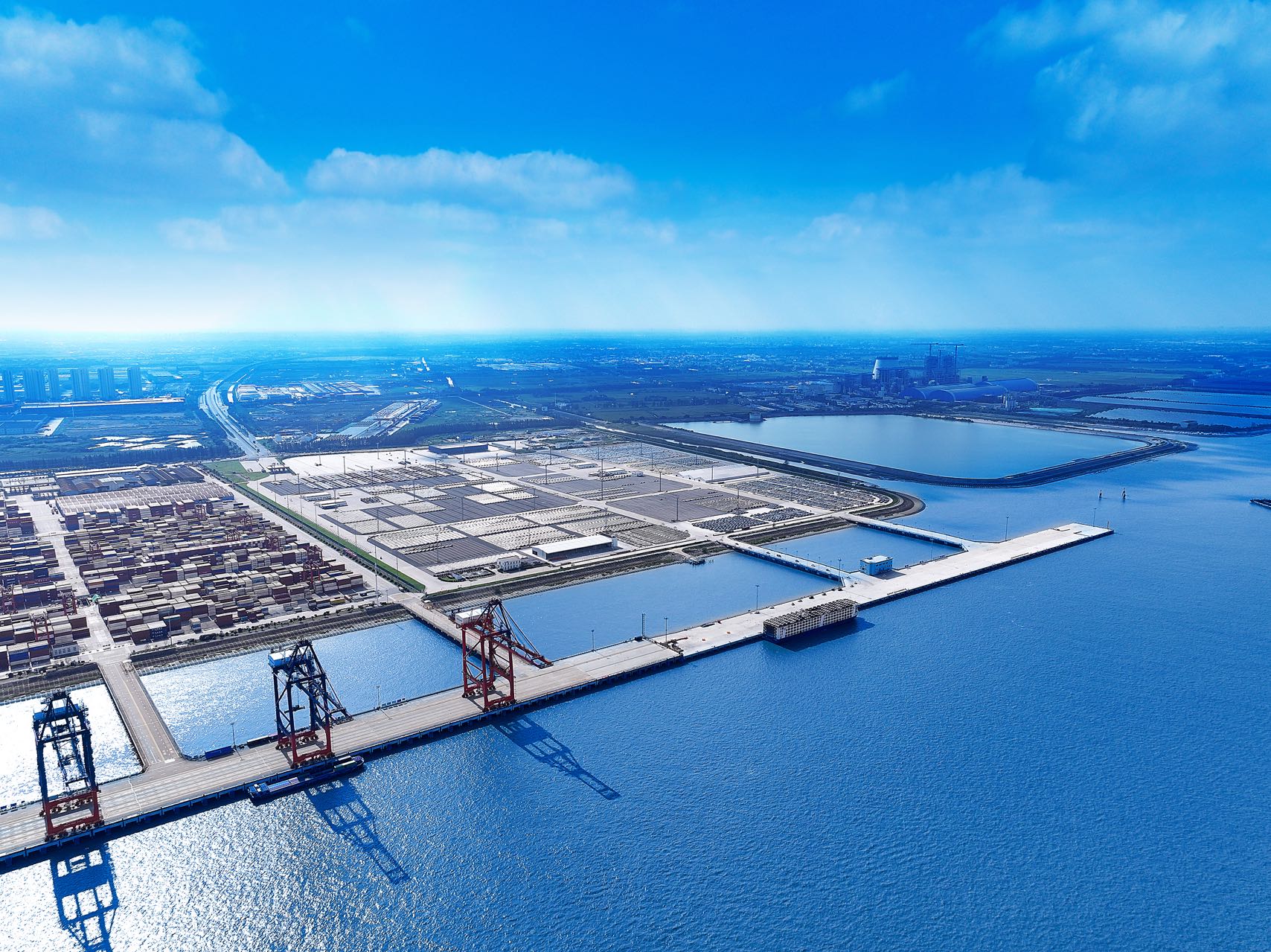 image005.jpg image005.jpg