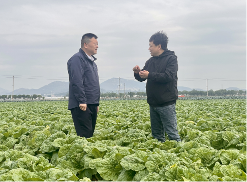 44f16bcb74474b8faf147ec6a14d1783.png 44f16bcb74474b8faf147ec6a14d1783.png