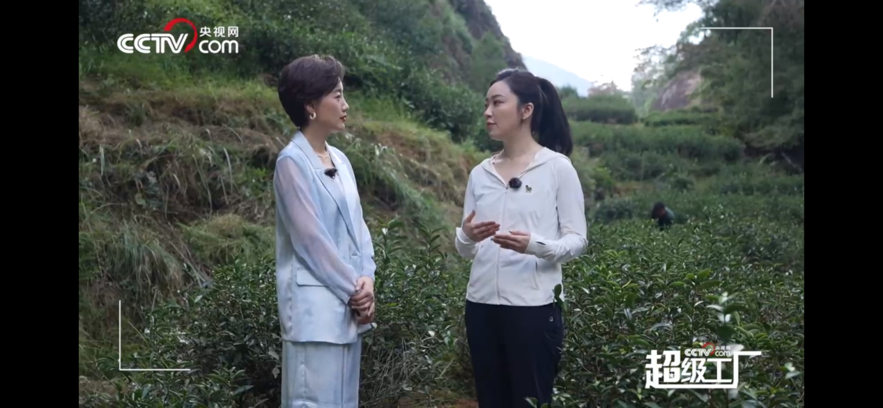 8cb116bbf61a456b891051cea29cb299.png 8cb116bbf61a456b891051cea29cb299.png