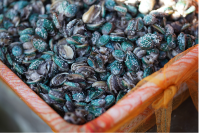 223a695cd43e41388538e1cf603c796b.png 223a695cd43e41388538e1cf603c796b.png