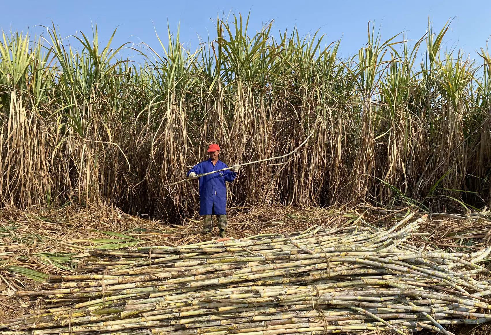 f558cd5549314f0c8712cba78806e776.jpeg f558cd5549314f0c8712cba78806e776.jpeg