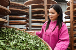 3404d8d8138a49a283d8da590020ed54