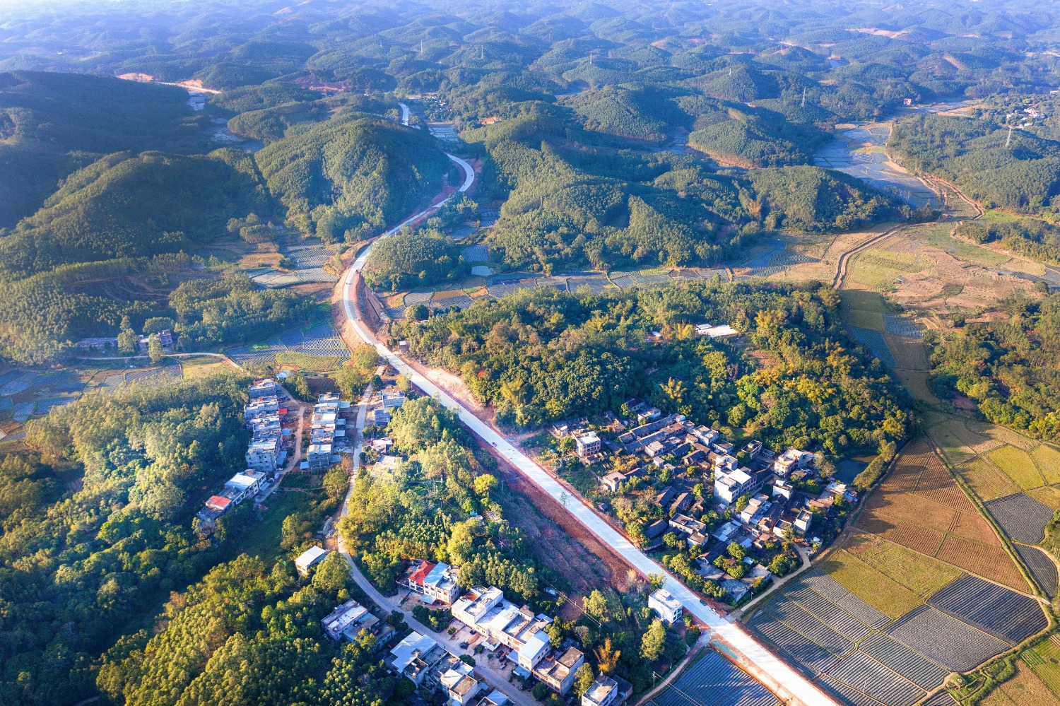 3.图为浦钦路成型路段（苏杨梅 摄）.jpg