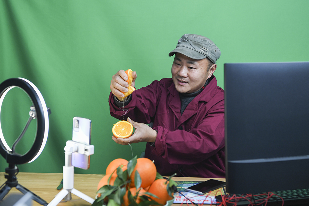26 重庆市奉节县永乐镇江南村村民通过网络直播平台推介脐橙产品。新华社记者 王全超 摄 (1).jpg