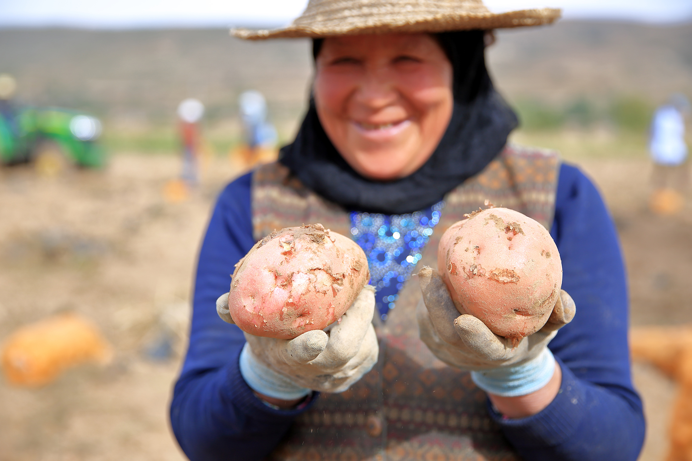 农民在展示收获的马铃薯