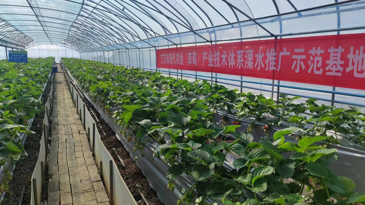 江苏坚持创新驱动2022年农业科技进步贡献率或超71