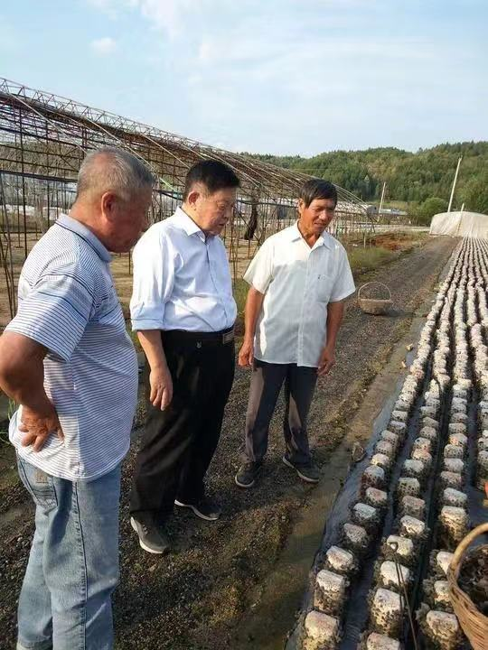 1129364215_16763624746071n