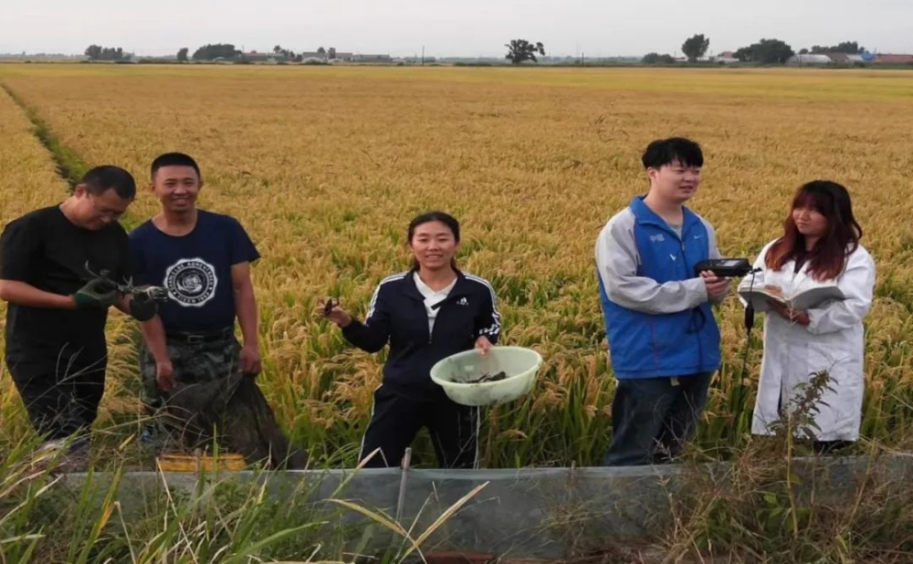 1129364215_16763625172201n