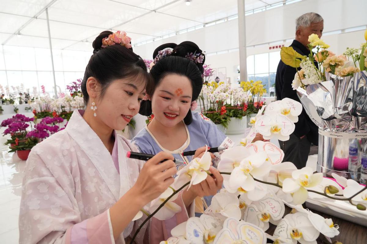 63f6a6dda3102ada7c83a7c6