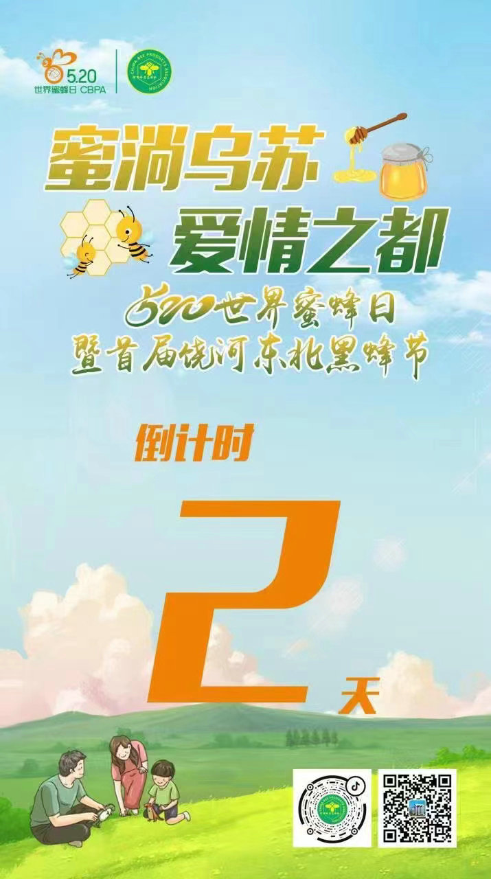 图片13.jpg