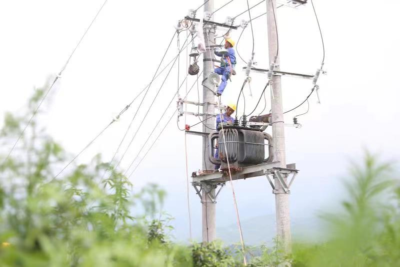 电力工人正在为三新村花椒基地架设低压线路 (2).jpg