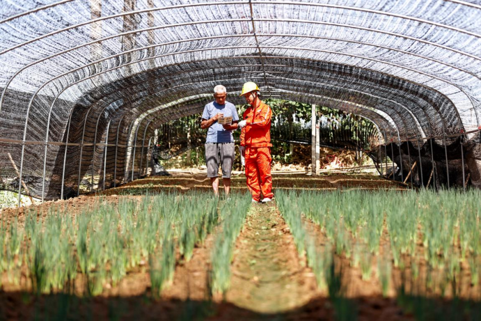 “重庆元素” 电靓“双城时代 ”7030.png