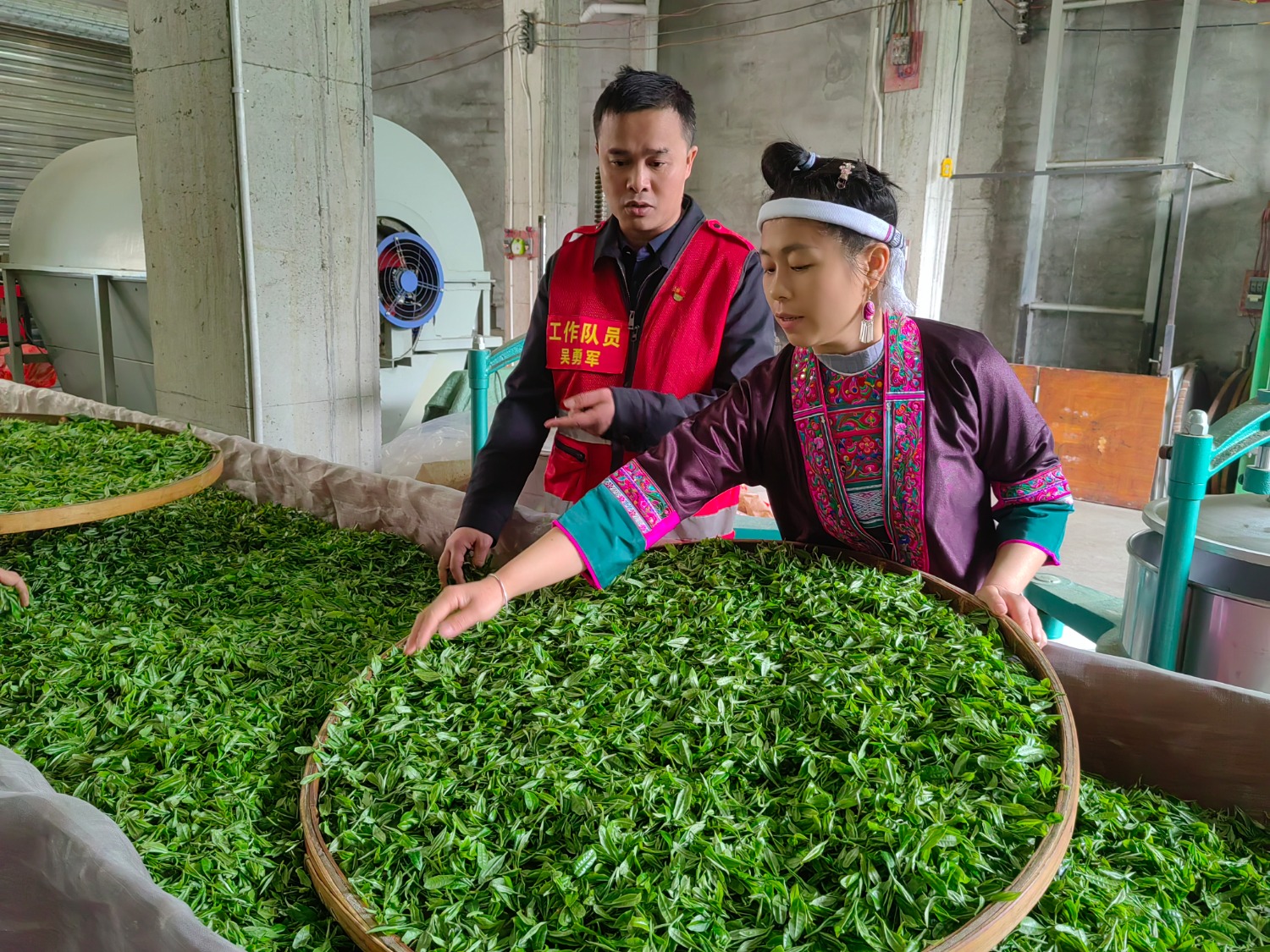 图为柳州市烟草专卖局驻村工作人员与帮扶户交流制茶流程与工艺（柳州市烟草专卖局 郭晓燕 摄）.jpg