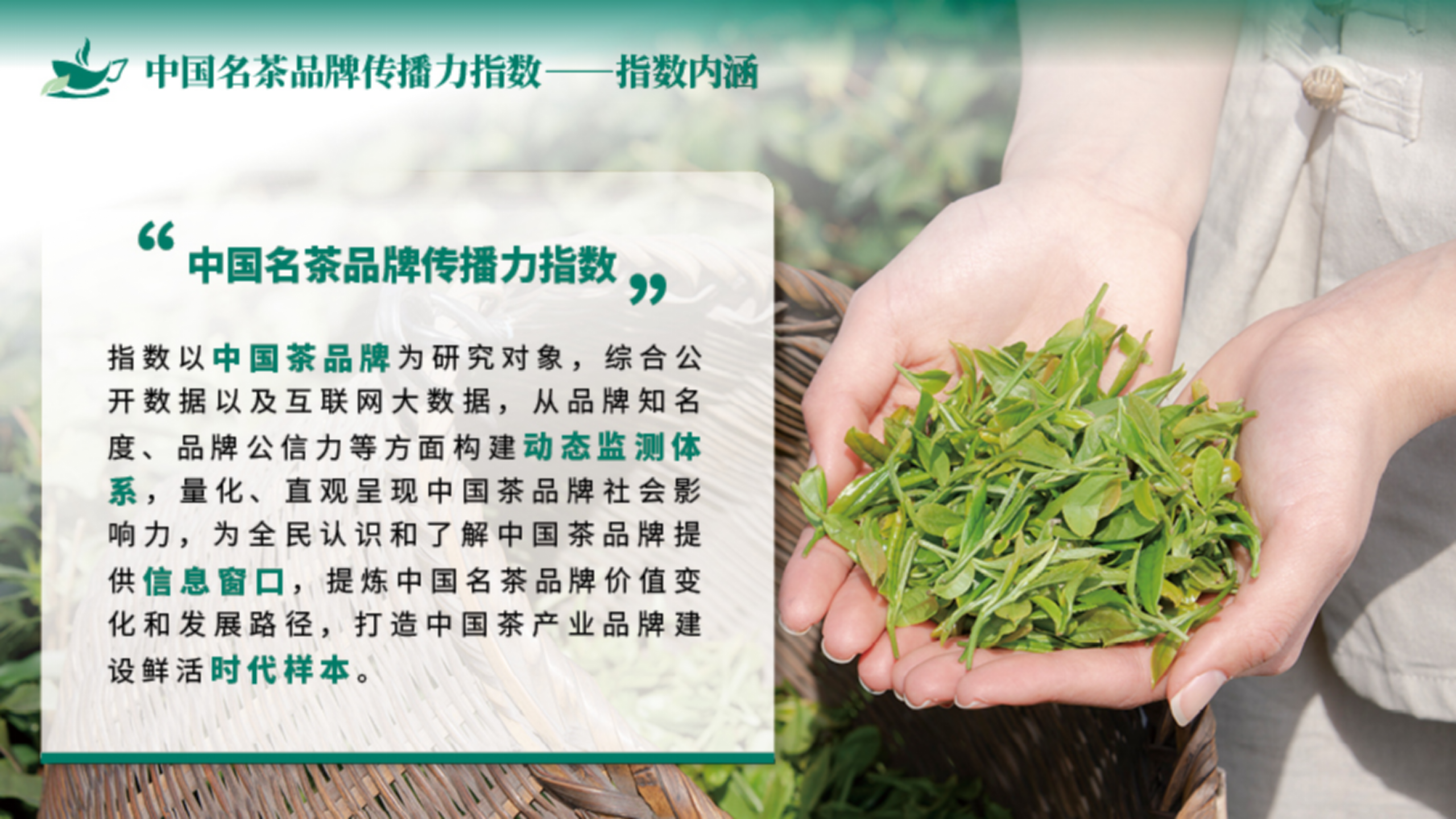 （终终）中国名茶指数ppt_07.png