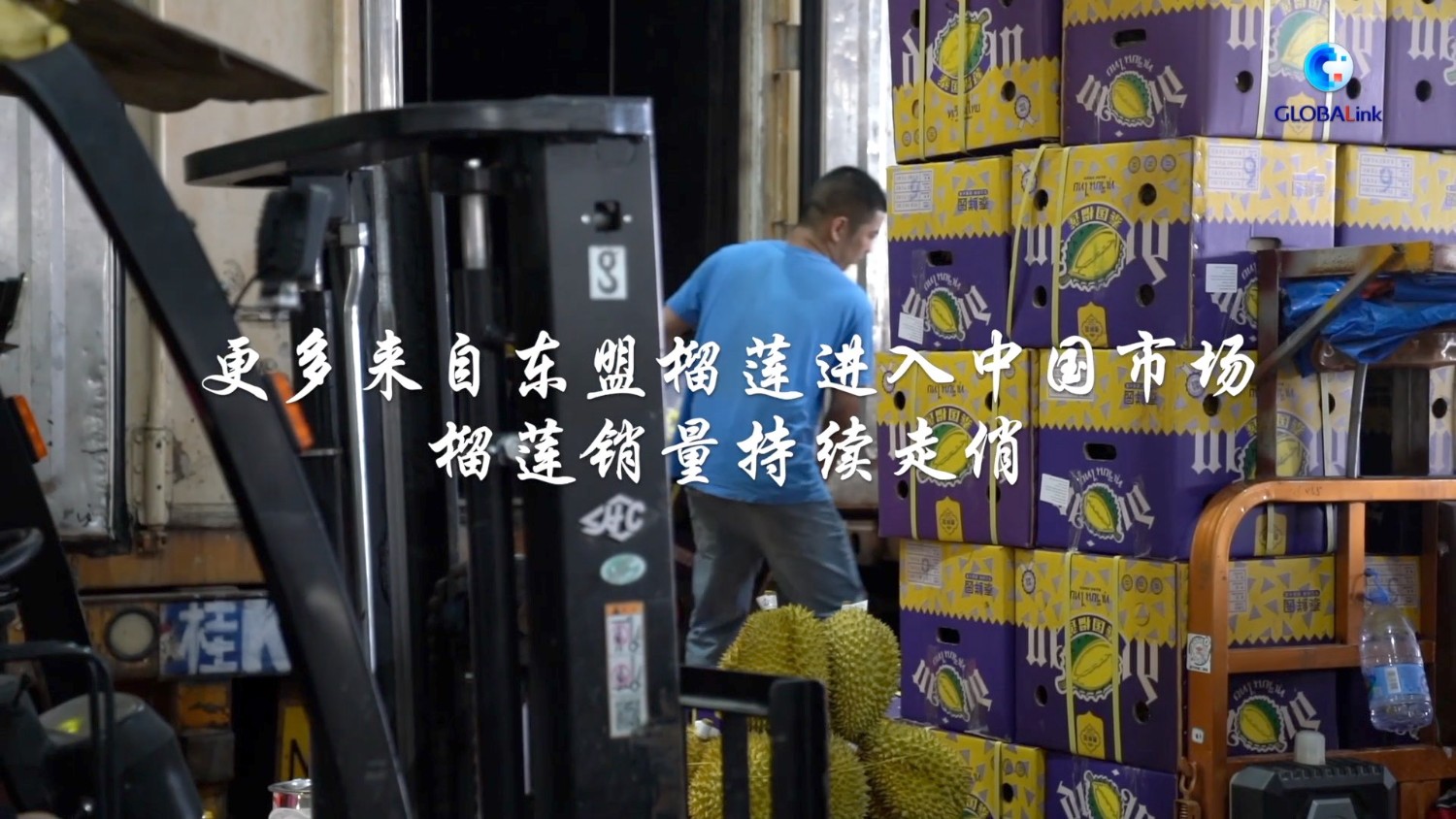 更多来自东盟榴莲进入中国市场 榴莲销量持续走俏