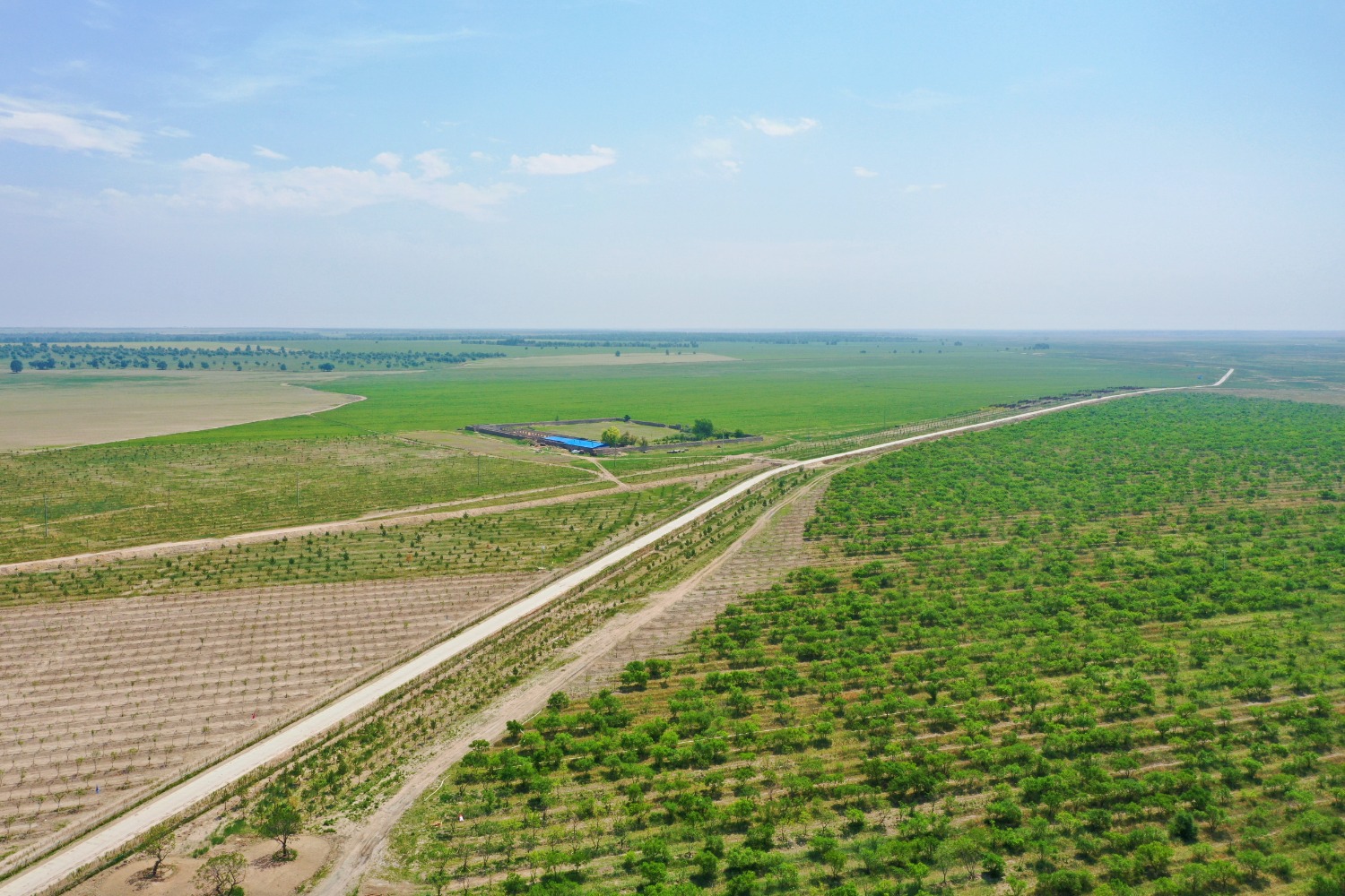 兴安盟突泉县追青逐绿尽享生态红利