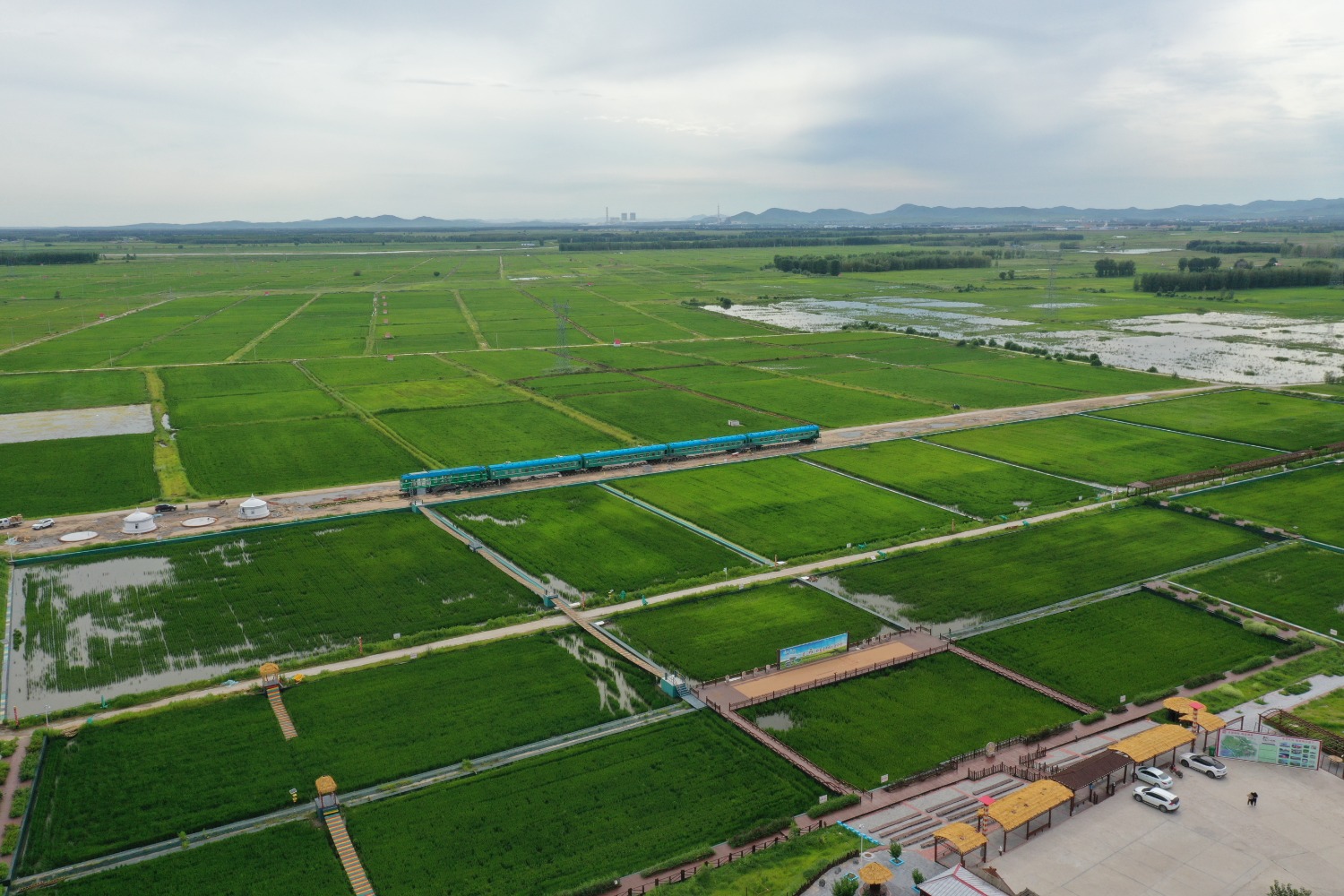 哈日道卜嘎查稻田。摄影 李枭宇.jpg