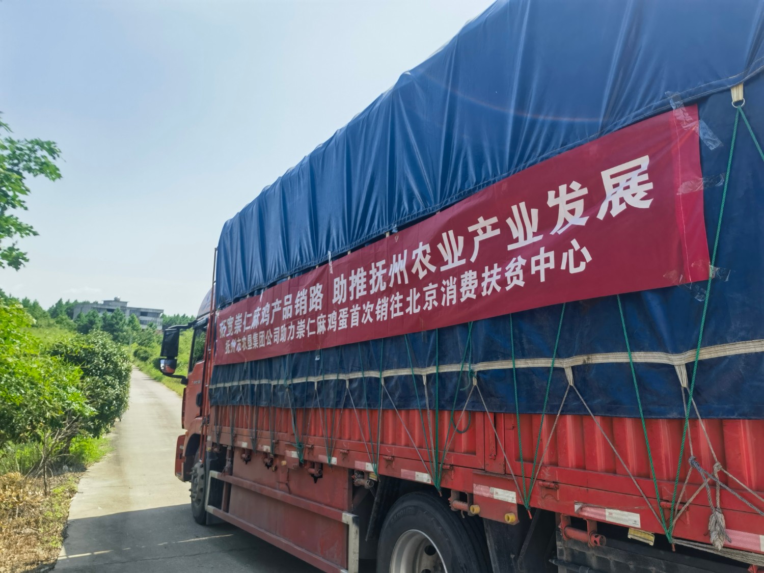 满载崇仁麻鸡蛋的货车开往北京消费扶贫中心.jpg