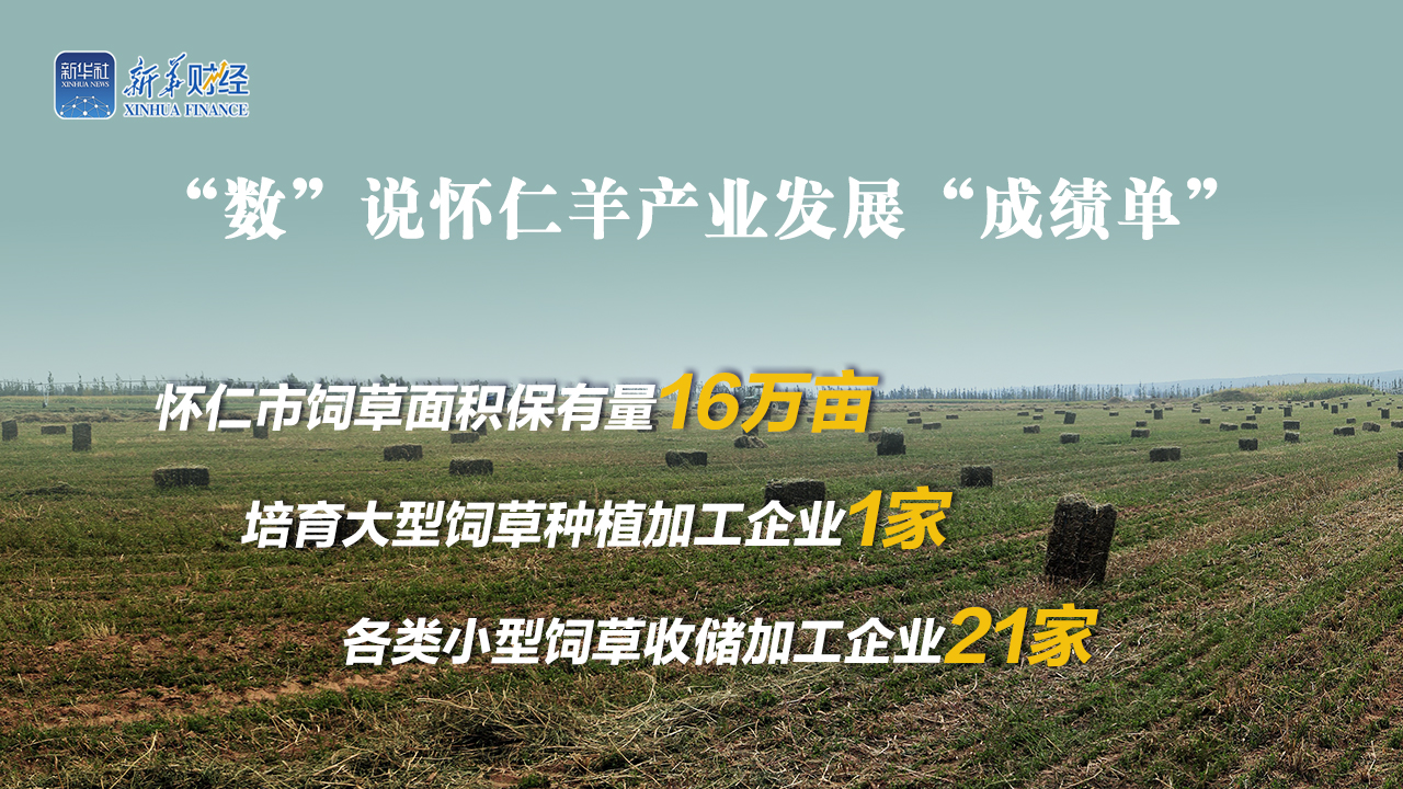 羊产生 拷贝.jpg