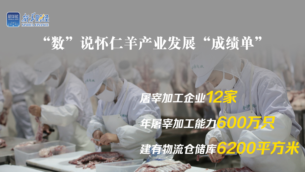 羊产生4 拷贝.jpg