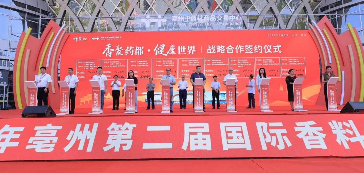 d23bf37955624616a9ff6e8cd0151d46