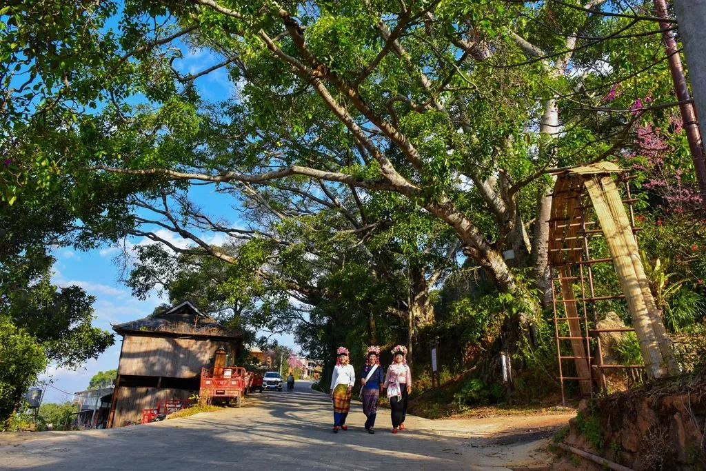 ac3466cebfc349bea51446dcb35074e5