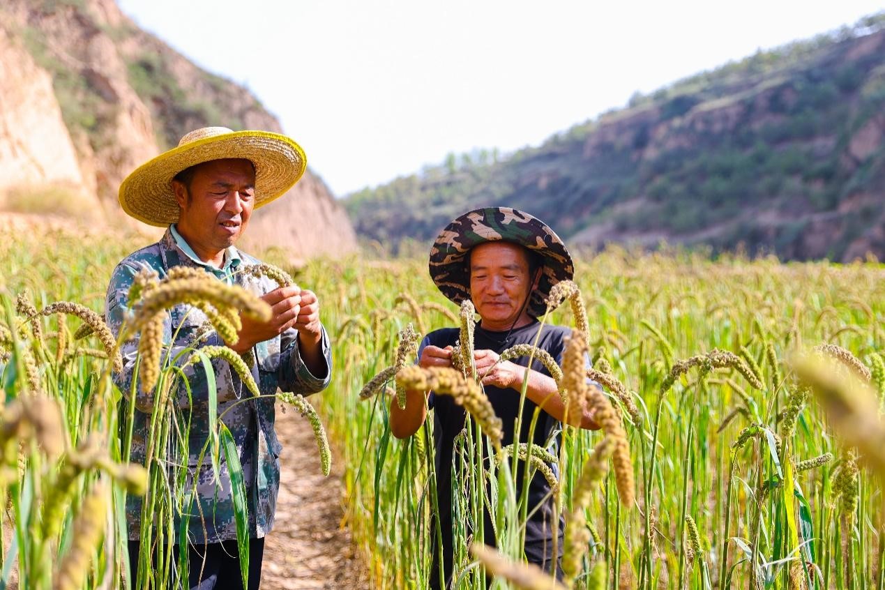 db6a5efbf8e54f158463789a83273655