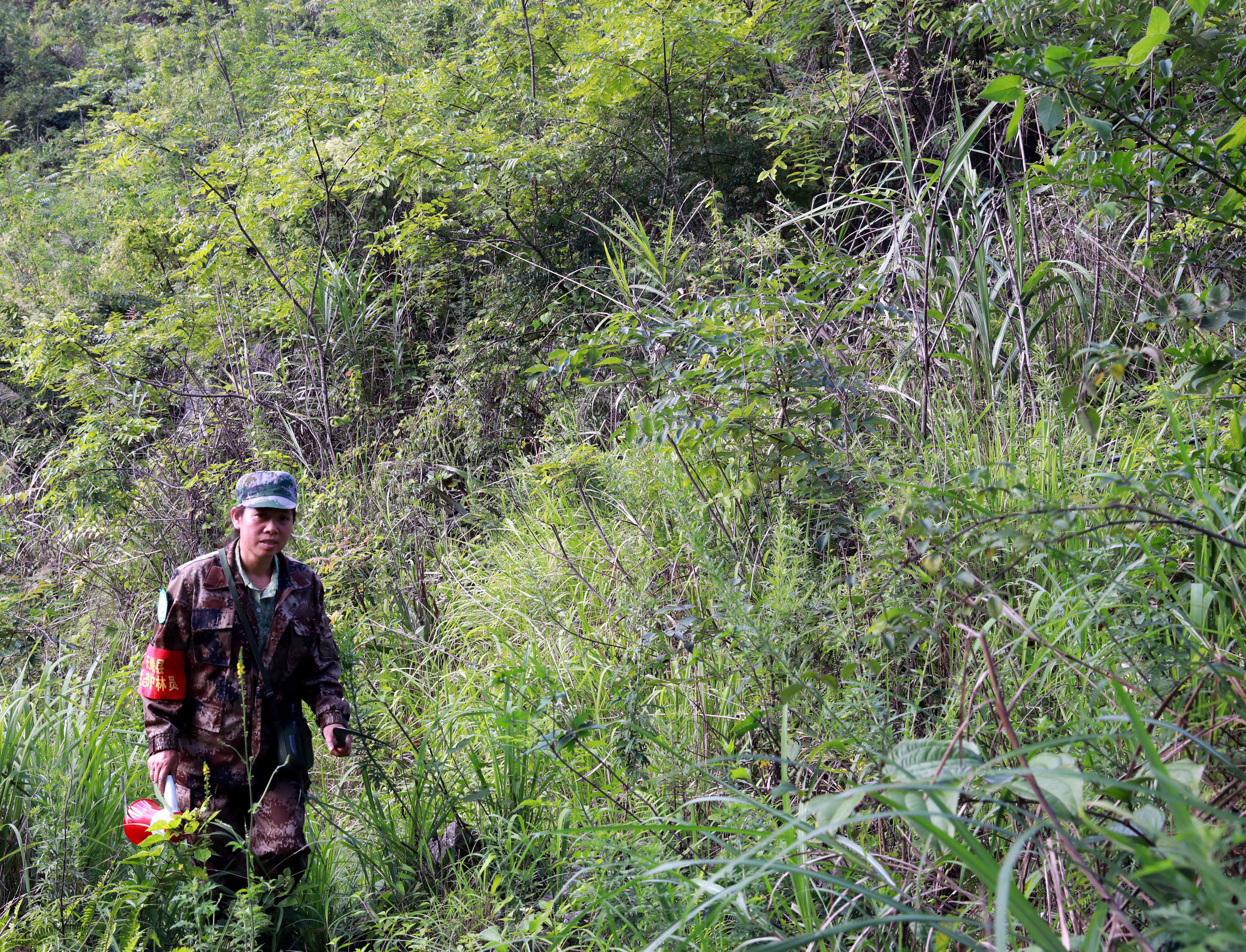 护林员在巡山。.JPG