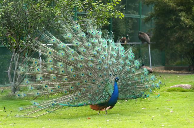 4a36acaf2edda3ccb5bc2f40011e340f203f927f.jpeg@f_auto?token=aea78d72505c9869e00d77917dabf06d