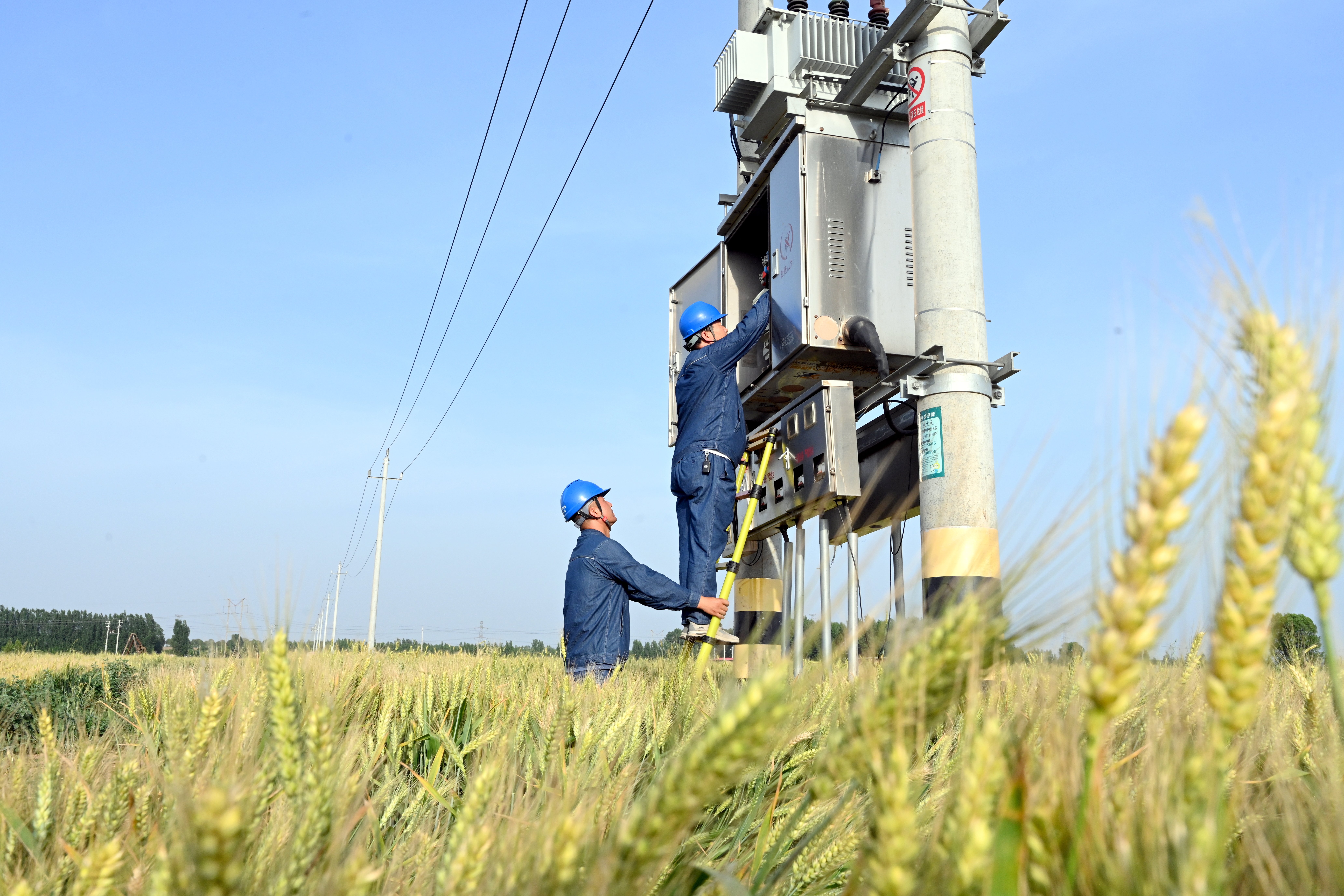 05201国网焦作供电公司员工在巡视检查农排灌溉电力设施，在田间电杆、拉线上安装反光标识。.jpg