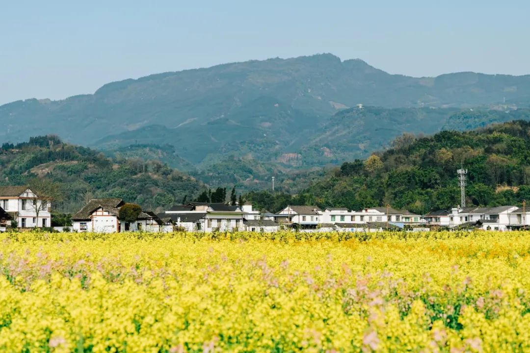 640?wx_fmt=jpeg&from=appmsg