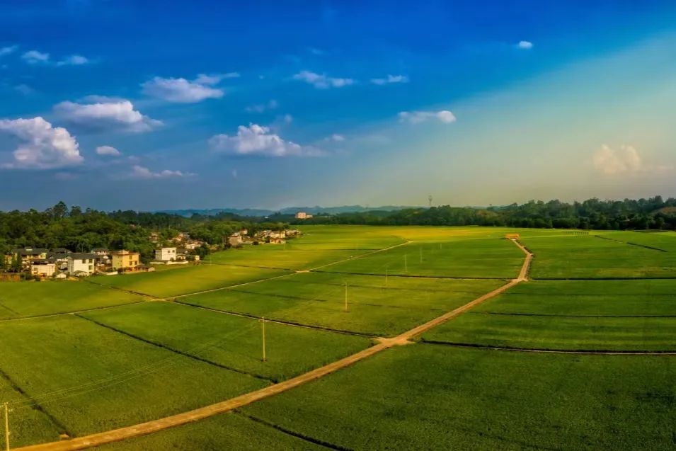 640?wx_fmt=jpeg&from=appmsg