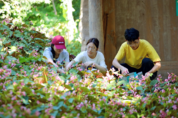 春风满巴渝 文明兴奉节｜“三峡凉都·康养云雾”奉节县2024年土家女儿会暨林下农特产品推介活动正式启动(1)193.png