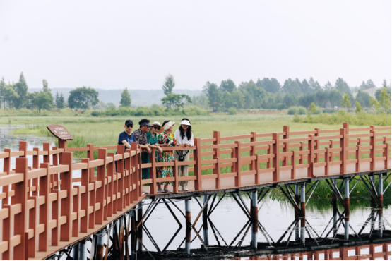 大美龙江等你来 伊春康养之旅  推文 定稿992.png