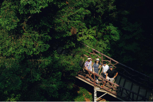 大美龙江等你来 伊春康养之旅  推文 定稿848.png