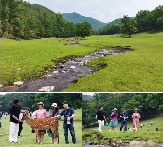 大美龙江等你来 伊春康养之旅  推文 定稿5761.png